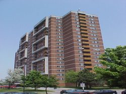 100 Wingarden Court, Scarborough